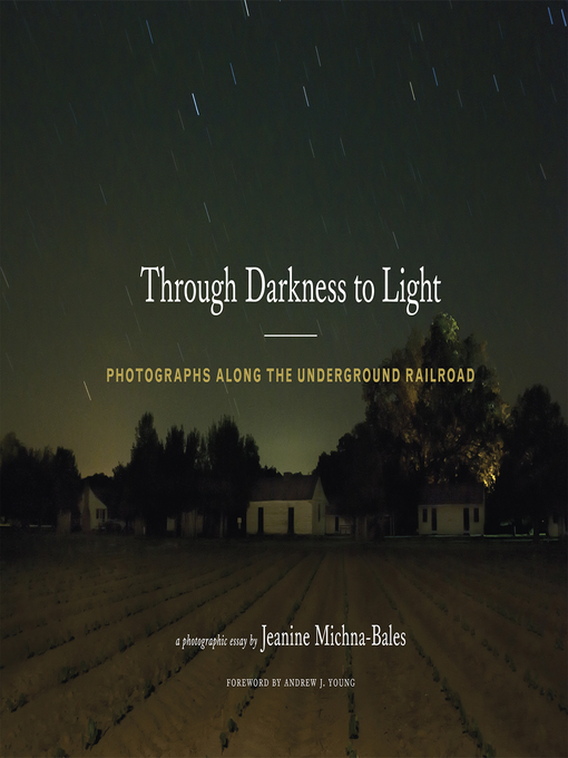Title details for Through Darkness to Light by Jeanine Michna-Bales - Available